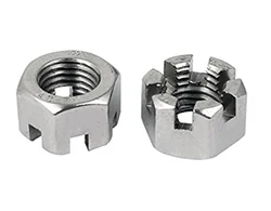Stainless Steel 316_316L Hexagon Castle Nuts